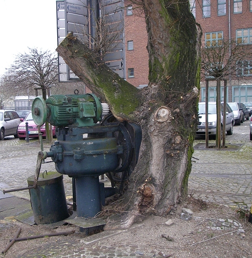Mein Maschinenbaum, aufgenommen am 14.02.2008